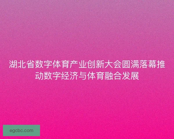 湖北省数字体育产业创新大会圆满落幕推动数字经济与体育融合发展