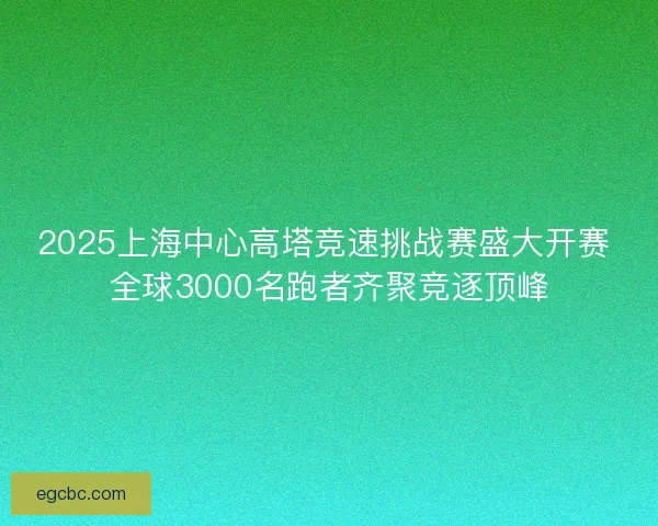 2025上海中心高塔竞速挑战赛盛大开赛 全球3000名跑者齐聚竞逐顶峰 2025上海中心高塔竞速挑战赛盛大开赛 全球3000名跑者齐聚竞逐顶峰