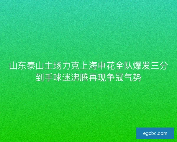 山东泰山主场力克上海申花全队爆发三分到手球迷沸腾再现争冠气势 山东泰山主场力克上海申花全队爆发三分到手球迷沸腾再现争冠气势